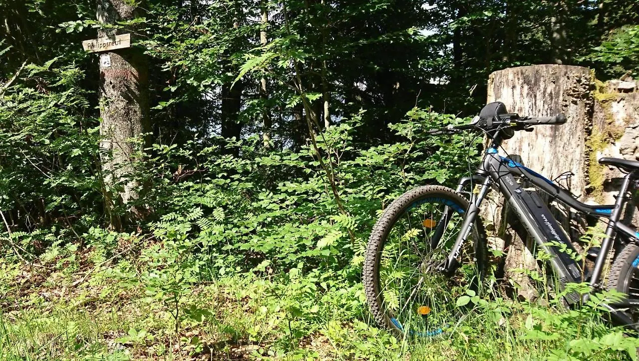 Pension Philippsreut Zum Pfenniggeiger Gasthof